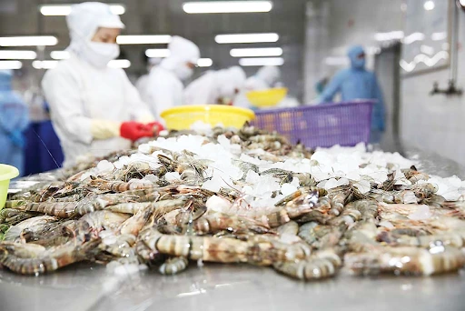 Xuất khẩu tôm Việt Nam 2,5 tỷ USD sau 7 tháng, tăng ở châu Á, giảm tại Mỹ. Ảnh: Tạp chí Thương gia