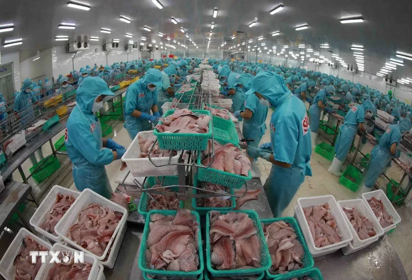 Xuất khẩu Việt Nam duy trì đà tăng, kỳ vọng bùng nổ cuối năm 2 xuất khẩu