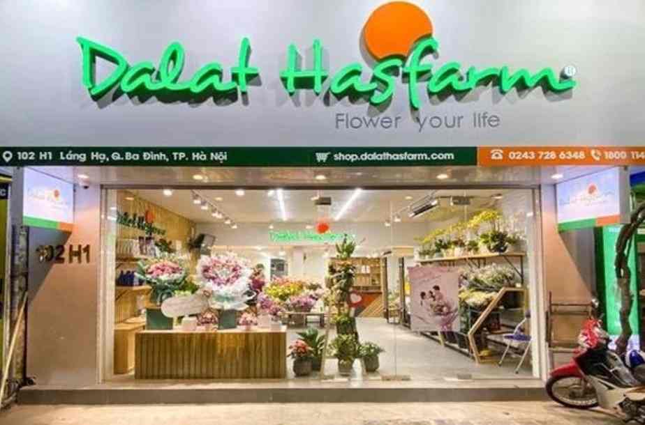 Dalat Hasfarm chi hơn 4.500 tỉ đồng thâu tóm Lynch tại Australia 2 Thương vụ thâu tóm Lynch đánh dấu bước ngoặt