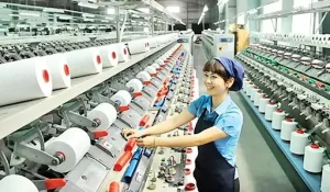Xuất nhập khẩu vượt 555 tỷ USD, thặng dư thương mại hơn 10 tỷ USD vững chắc 3 Để duy trì đà tăng trưởng, doanh nghiệp xuất khẩu Việt Nam cần nâng cao chất lượng sản phẩm, tiếp tục đa dạng hóa thị trường và xúc tiến thương mại sâu hơn vào các thị trường chiến lược... Ảnh: VTVOnline