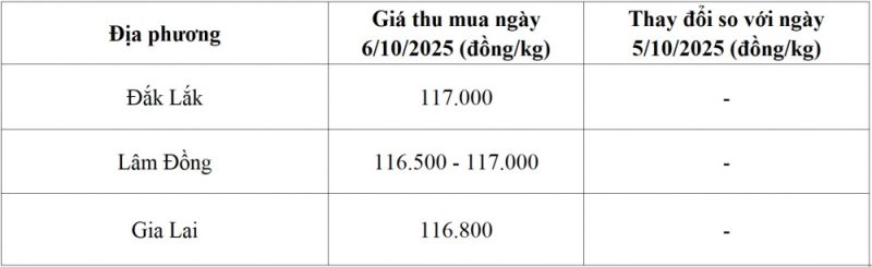 Giá cà phê tháng 9 tăng 9,3%, nguồn cung toàn cầu giảm hơn 3% 3 Giá cà phê tháng 9 tăng 9,3% - 60s Hôm Nay