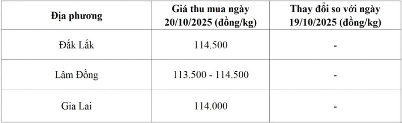 Giá cà phê 20/10: Nguồn cung khan hiếm, đà tăng được dự báo sẽ tiếp diễn 2 Giá cà phê - 60s Hôm Nay