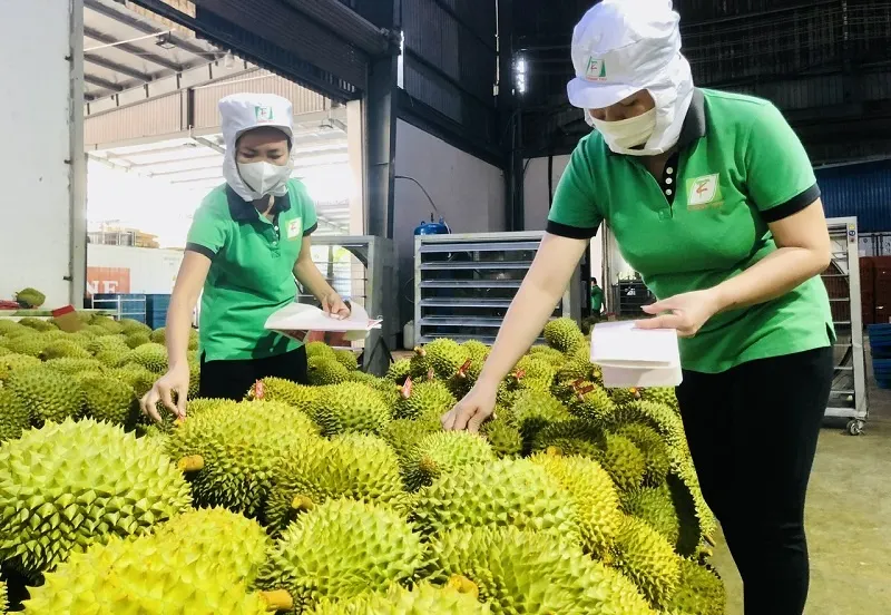 80% nông sản Việt thiếu thương hiệu: 3 thách thức lớn trên hành trình xuất khẩu 100 tỷ USD 2 80% nông sản Việt thiếu thương hiệu: 3 thách thức lớn trên hành trình xuất khẩu 100 tỷ USD