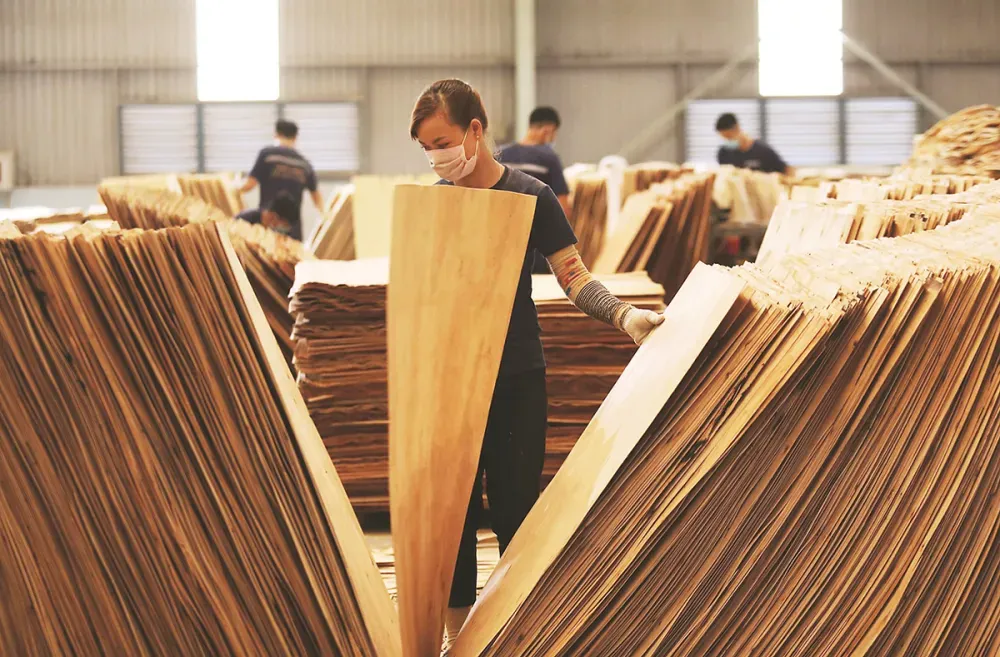 vàn sợi gỗ