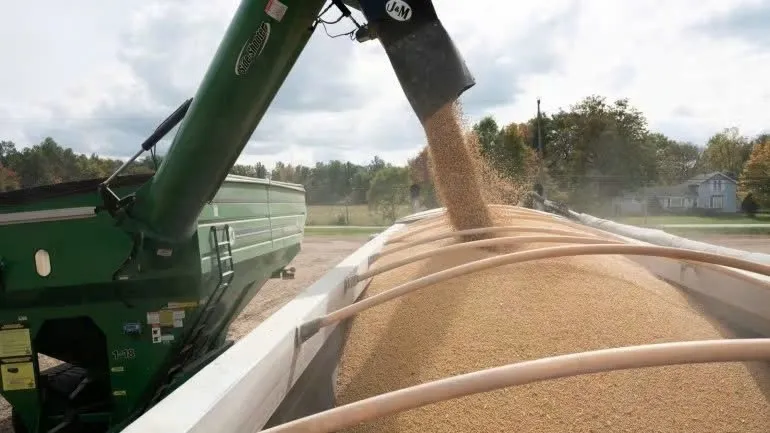 Giá phân bón tăng mạnh do Trung Quốc hạn chế xuất khẩu 4 phân bón