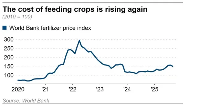 Giá phân bón tăng mạnh do Trung Quốc hạn chế xuất khẩu 2 phân bón