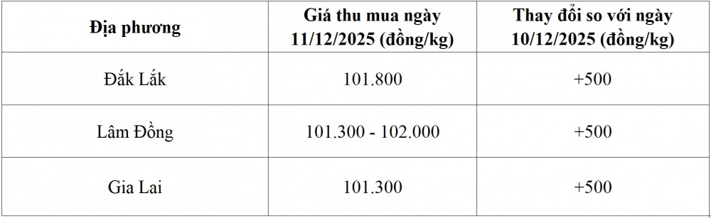 Giá cà phê - 60s Hôm Nay