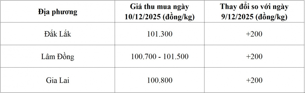 Giá cà phê 10/12: Thị trường bước vào nhịp điều chỉnh khi nguồn cung tăng mạnh 1 Giá cà phê - 60s Hôm Nay