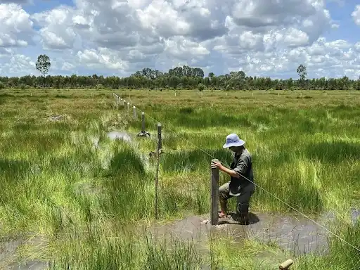 Giá đất TP.HCM 2026: Đất nông nghiệp tăng mạnh, đất ở trung tâm ổn định 3 Giá đất - 60s Hôm Nay