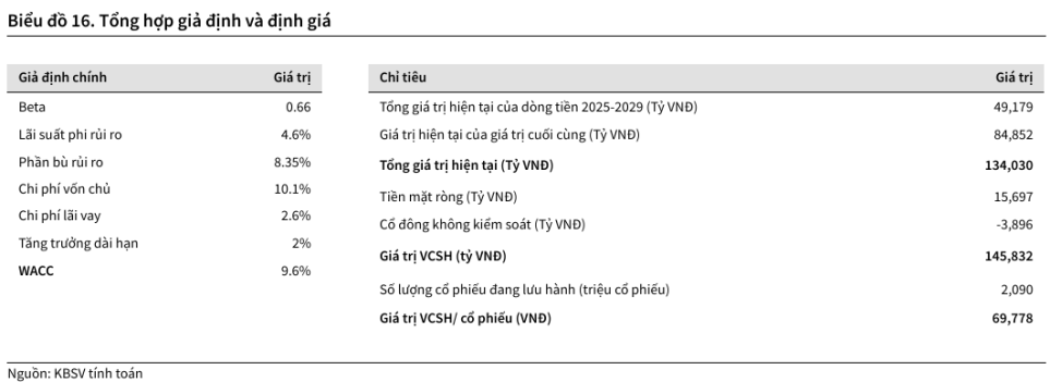 Giả định định giá VNM