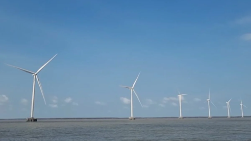 Cà Mau - 60s Hôm Nay