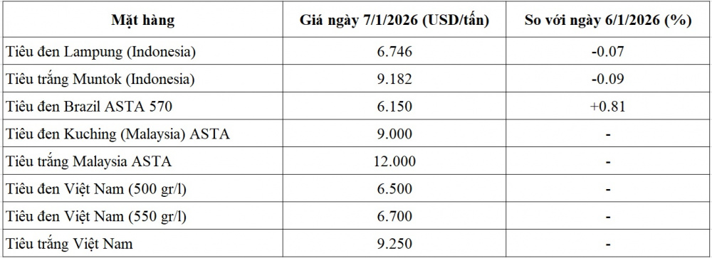 Giá tiêu - 60s Hôm Nay