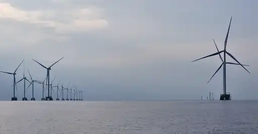 Cà Mau mời gọi đầu tư hai dự án điện gió hơn 4.800 tỷ đồng 3 Cà Mau - 60s Hôm Nay