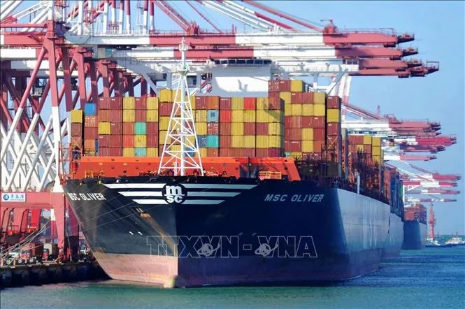 doanh nghiệp việt