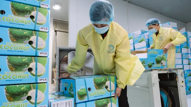 Doanh nghiệp rau quả xoay xở khi cước tàu tăng gấp ba vì căng thẳng Trung Đông 2 doanh nghiệp