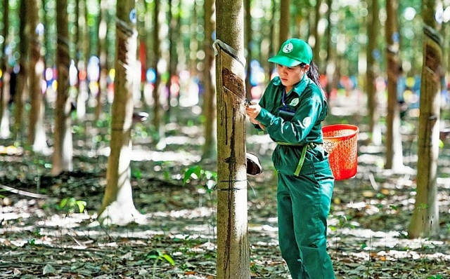cổ phiếu PHR được khuyến nghị